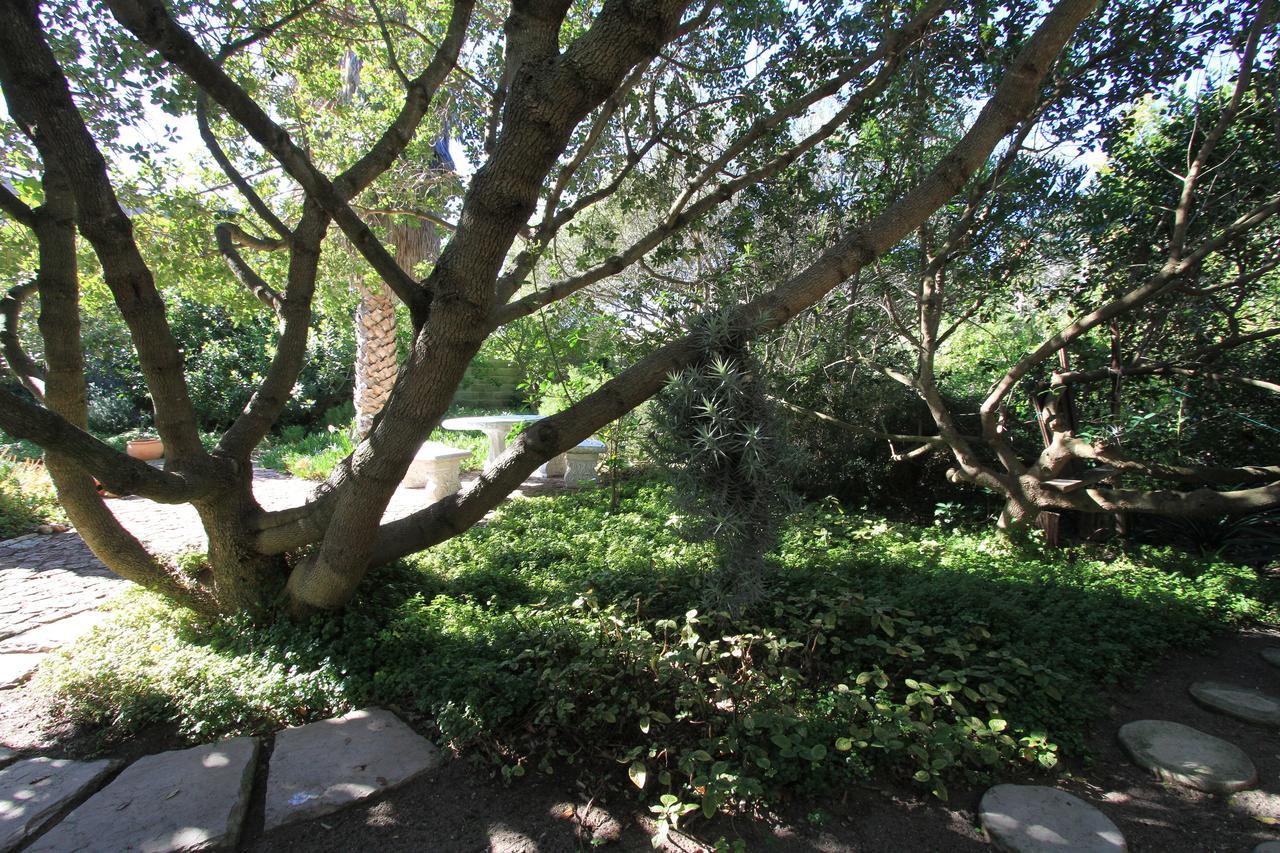 Haven Of Peace And Garden Cottage 허머너스 외부 사진